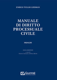 9788828819189 - Manuale di diritto processuale civile. Principi