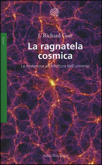 9788833927831 - La ragnatela cosmica. La misteriosa architettura dell'universo