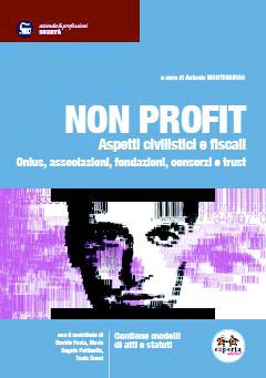 9788860211033 - Non profit. Aspetti civilistici e fiscali. Onlus, associazioni, fondazioni, consorzi e trust