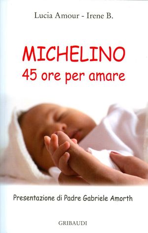 9788863660807 - Michelino