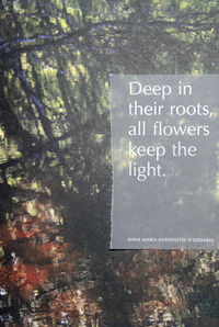 9788894196092 - Deep in their roots, all flowers keep the light. Ediz. illustrata