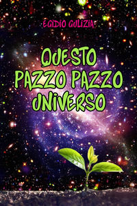 9791222724065 - Questo pazzo pazzo universo